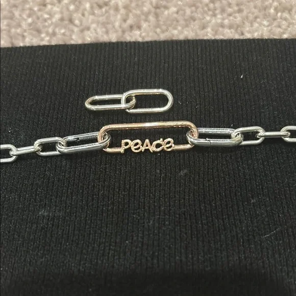 Pandora Silver and Gold Chain Bracelet with Personalized Charm - Picture 2 of 4